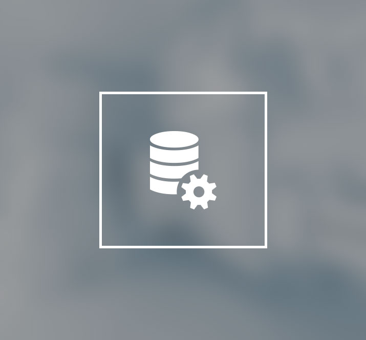Database Development Image